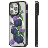 Vintage Painted Plums Magsafe Black Impact Phone Case for iPhone 13 Pro, iPhone 14 Pro, iPhone 15 Pro