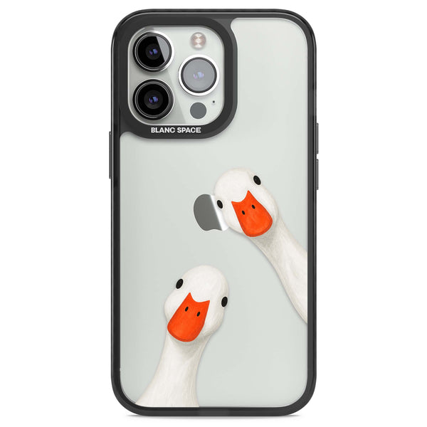Nosy Ducks