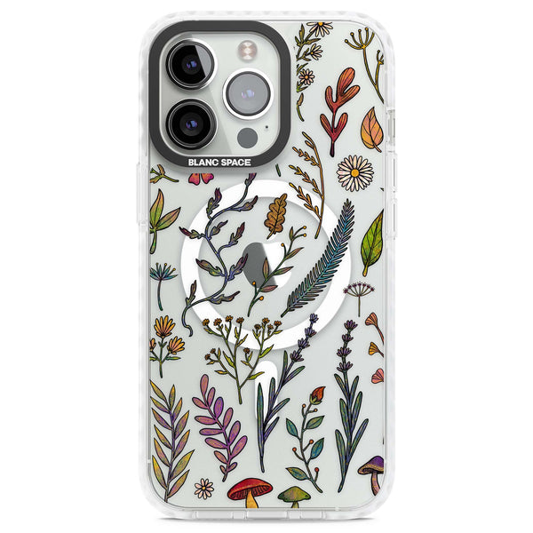 Autumn Wildflowers