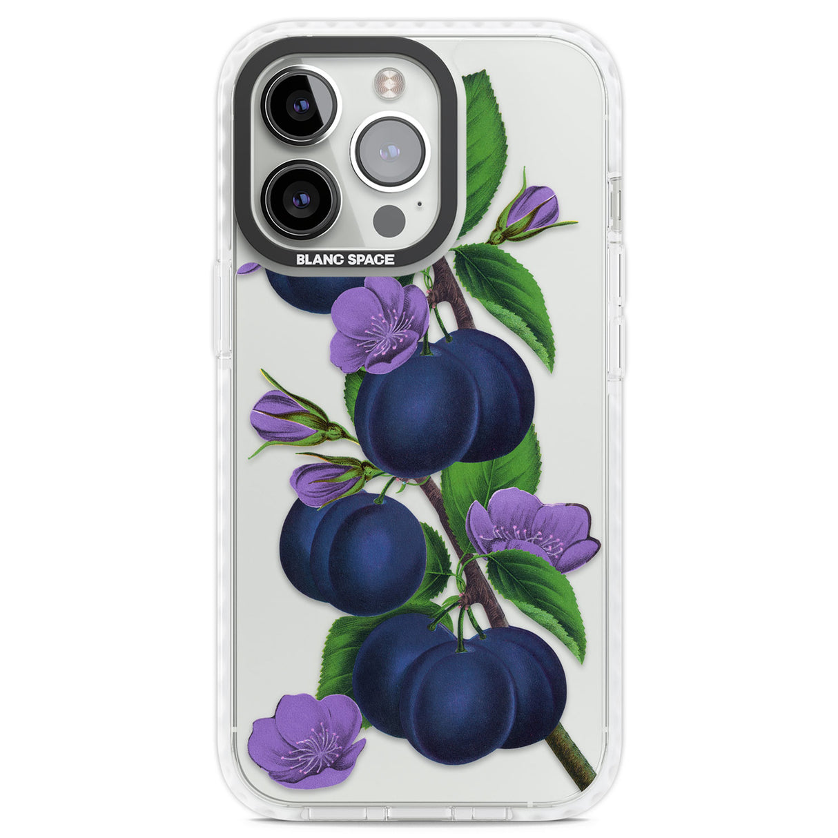 Vintage Painted Plums Clear Impact Phone Case for iPhone 13 Pro, iPhone 14 Pro, iPhone 15 Pro