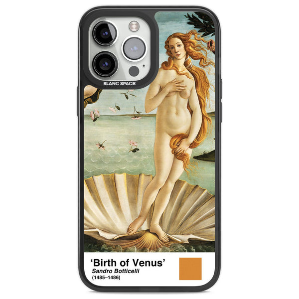 The Birth Of Venus