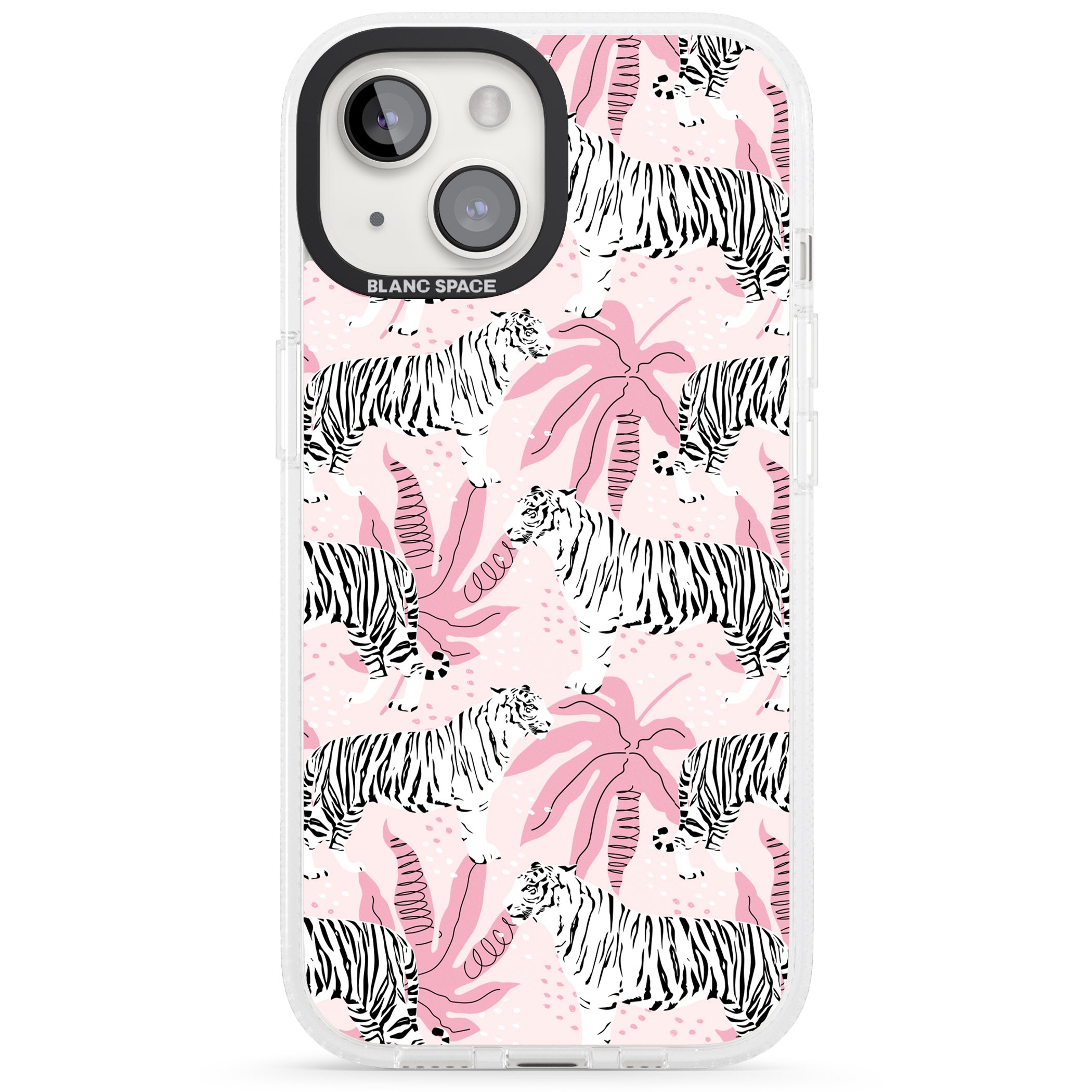 Pink Tiger Palm