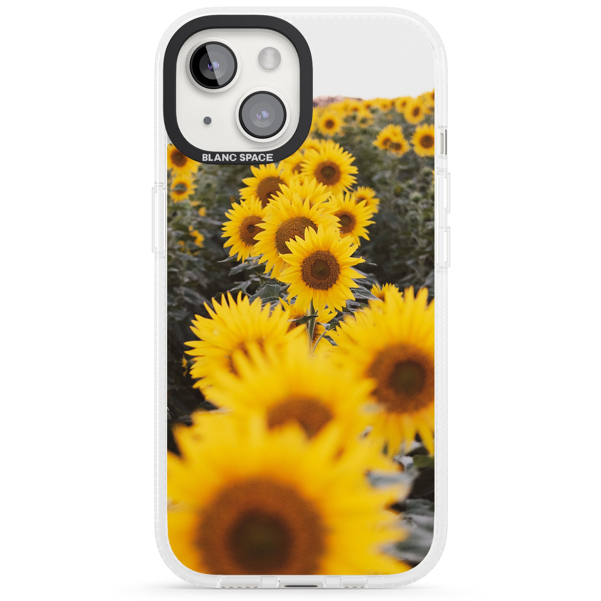 Sunflower Field Photograph iPhone 15 / 14 / 13 Clear Case Impact Air - Blanc Space