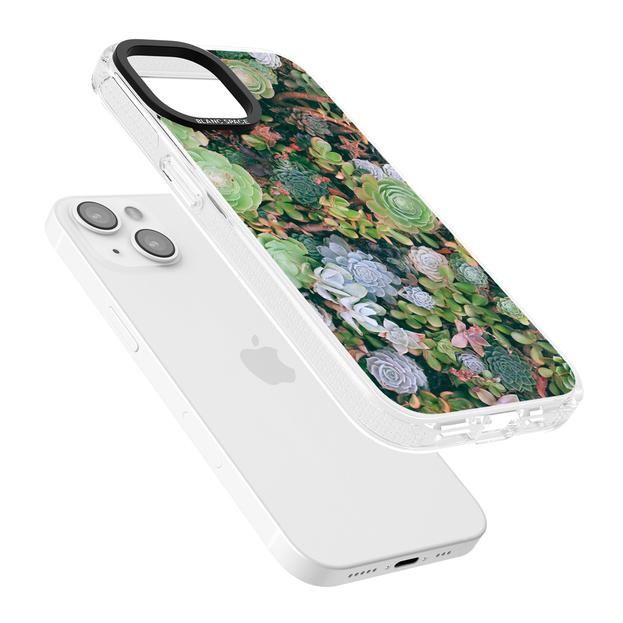 Colourful Succulents Photograph iPhone 15 / 14 / 13 Clear Case Impact Air - Blanc Space