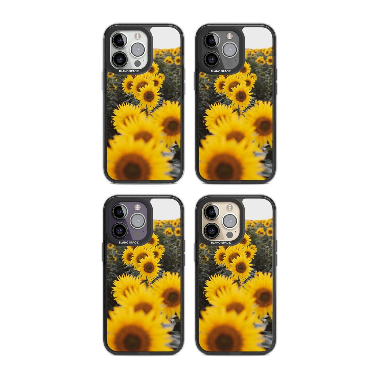 Sunflower Field Photograph