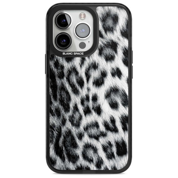 Snow Leopard