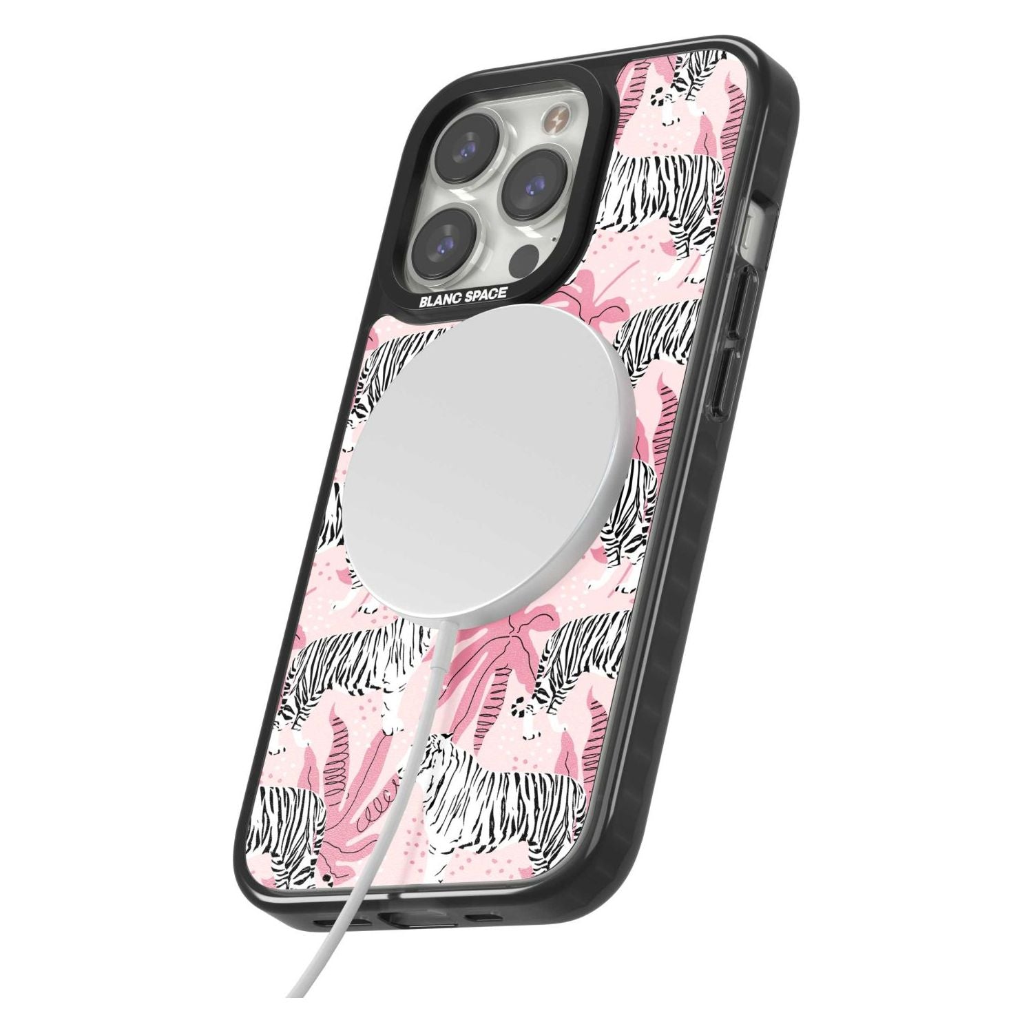 Pink Tiger Palm
