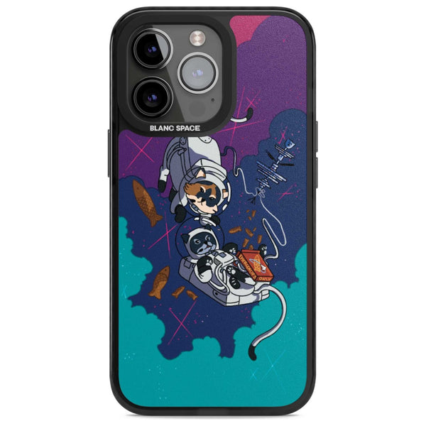 Cats In Space