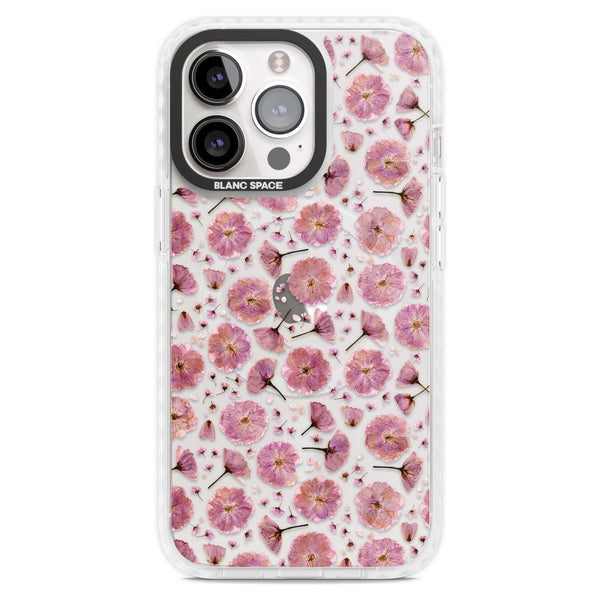 Pink Florals & Blossom