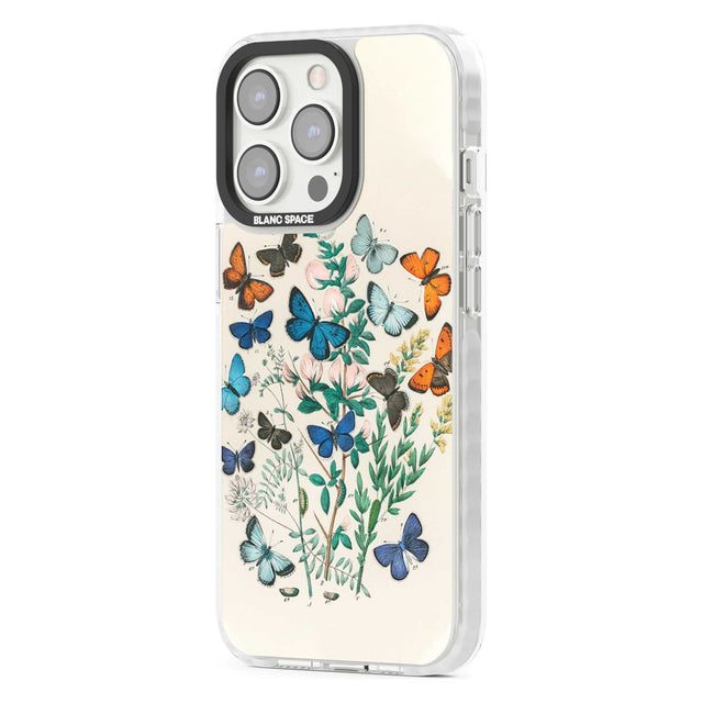 European Butterflies Phone Case iPhone 15 Pro Max / Black Impact Case,iPhone 15 Plus / Black Impact Case,iPhone 15 Pro / Black Impact Case,iPhone 15 / Black Impact Case,iPhone 15 Pro Max / Impact Case,iPhone 15 Plus / Impact Case,iPhone 15 Pro / Impact Case,iPhone 15 / Impact Case,iPhone 15 Pro Max / Magsafe Black Impact Case,iPhone 15 Plus / Magsafe Black Impact Case,iPhone 15 Pro / Magsafe Black Impact Case,iPhone 15 / Magsafe Black Impact Case,iPhone 14 Pro Max / Black Impact Case,iPhone 14 Plus / Black 