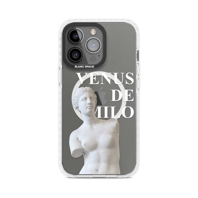 Venus De Milo Cutout