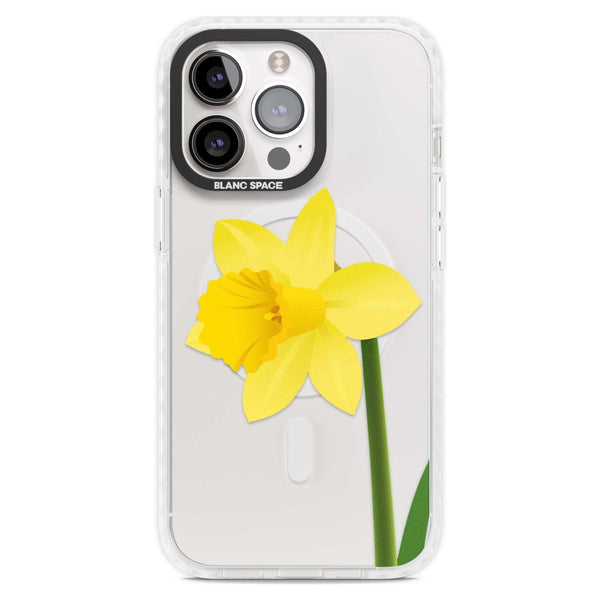 Daffodil