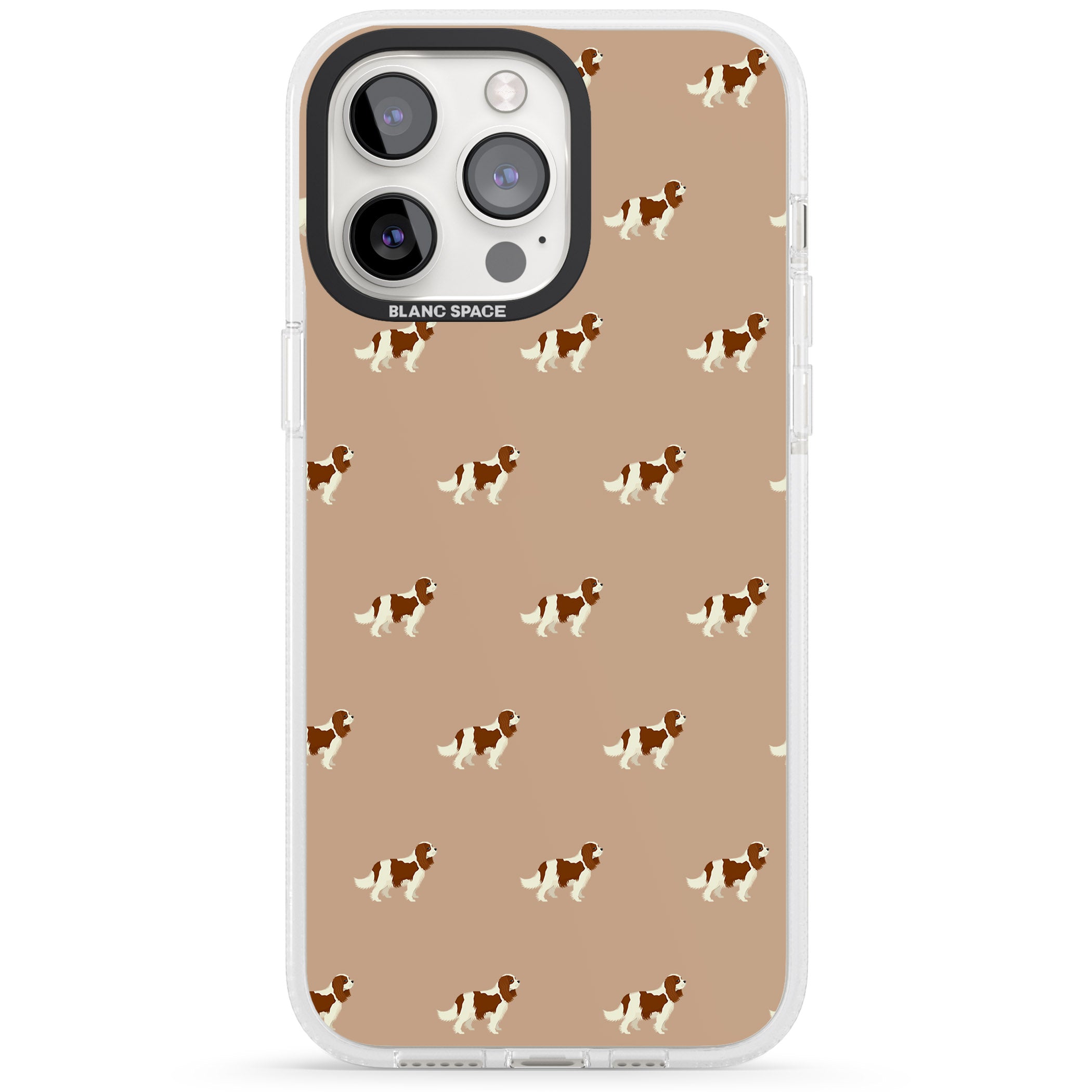 Cavalier Spaniel Pattern