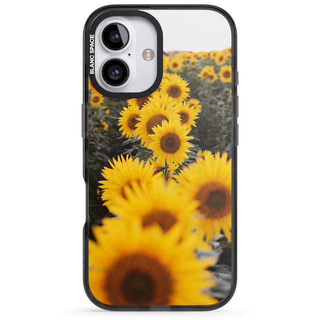 iPhone 16 Pro Max Sunflower Field Photograph Black Impact Phone Case