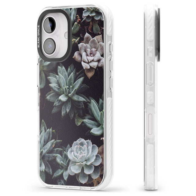 iPhone 16 Pro Max Mixed Succulents - Real Botanical Photographs Black Impact Phone Case