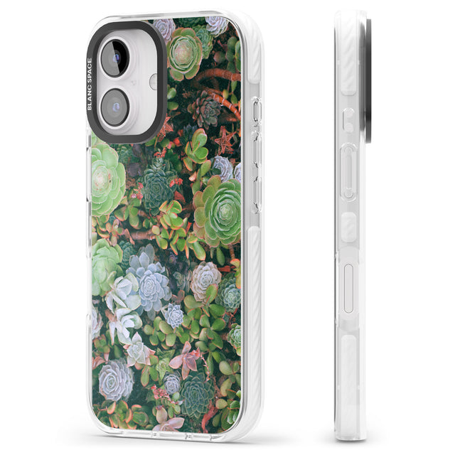 iPhone 16 Pro Max Colourful Succulents Photograph Black Impact Phone Case