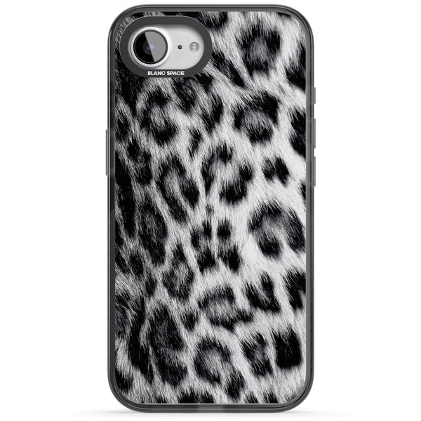 Snow Leopard
