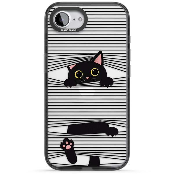 Peek-a-Boo Cat