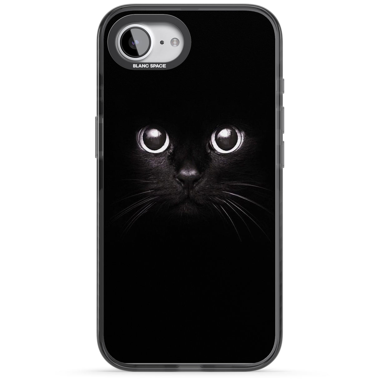 Black Cat