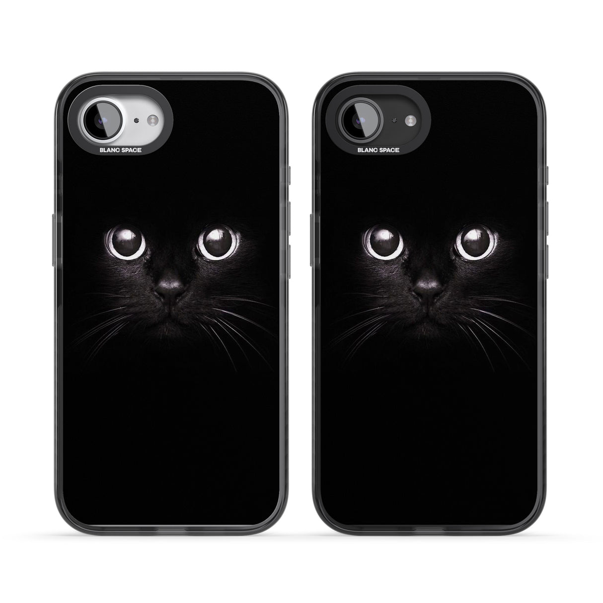 Black Cat