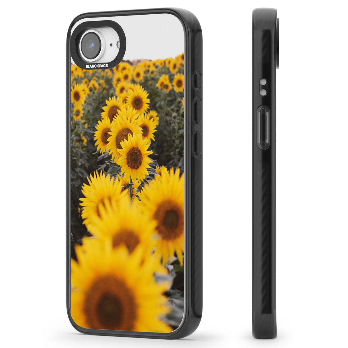 Sunflower Field Photograph