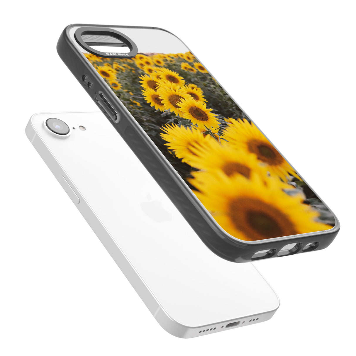 Sunflower Field Photograph