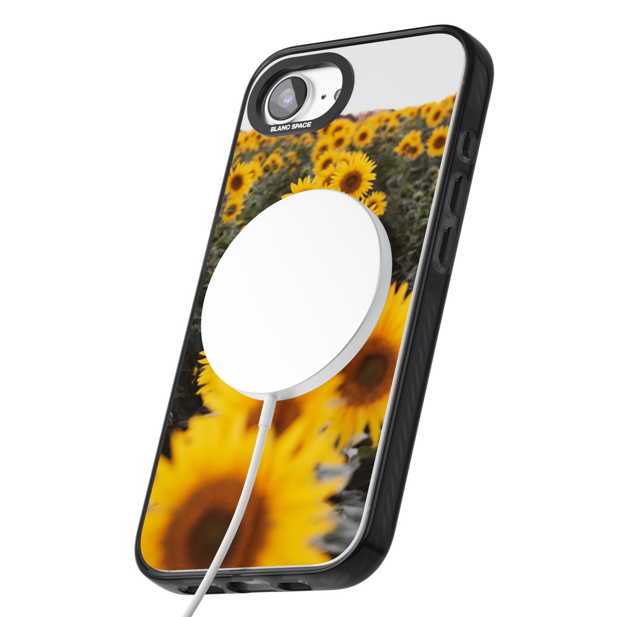 Sunflower Field Photograph