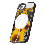 Sunflower Field Photograph