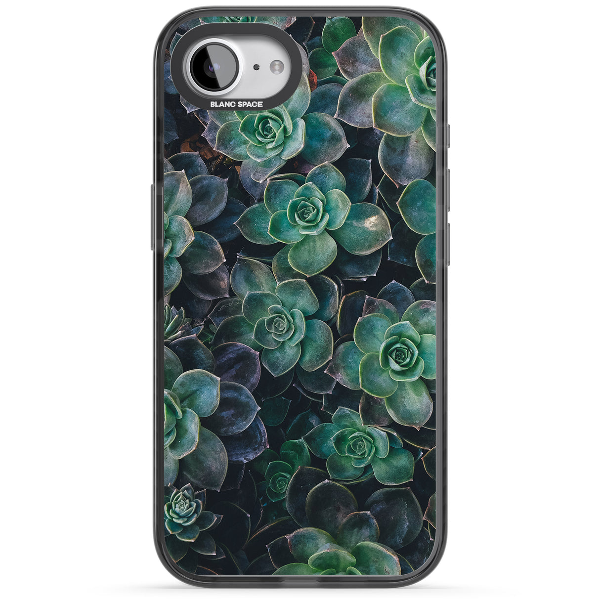 Succulents - Real Botanical Photographs
