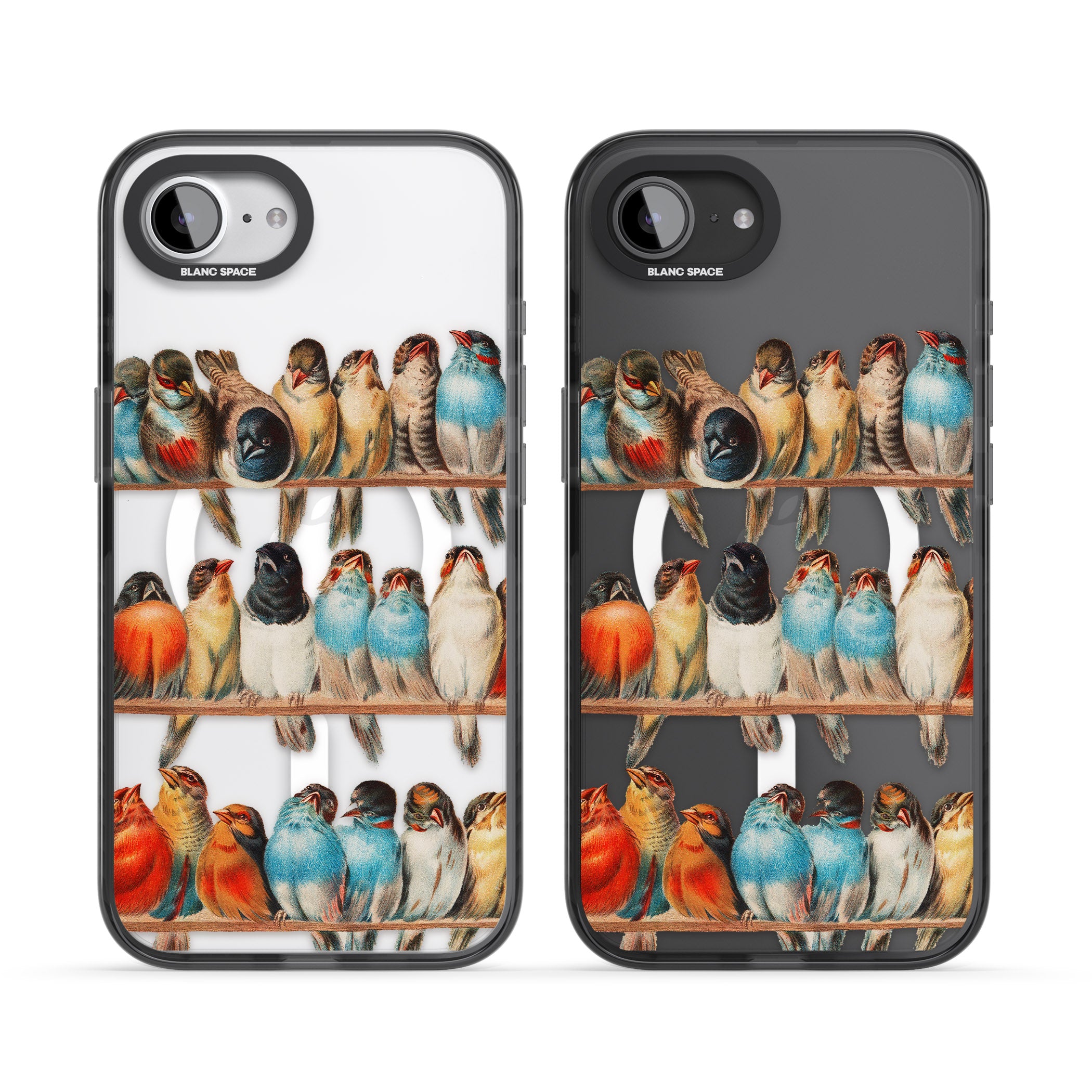 A Perch Of Birds