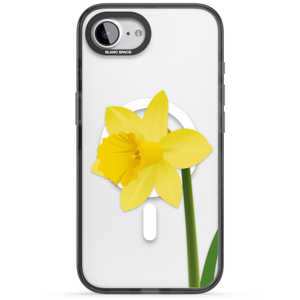 Daffodil