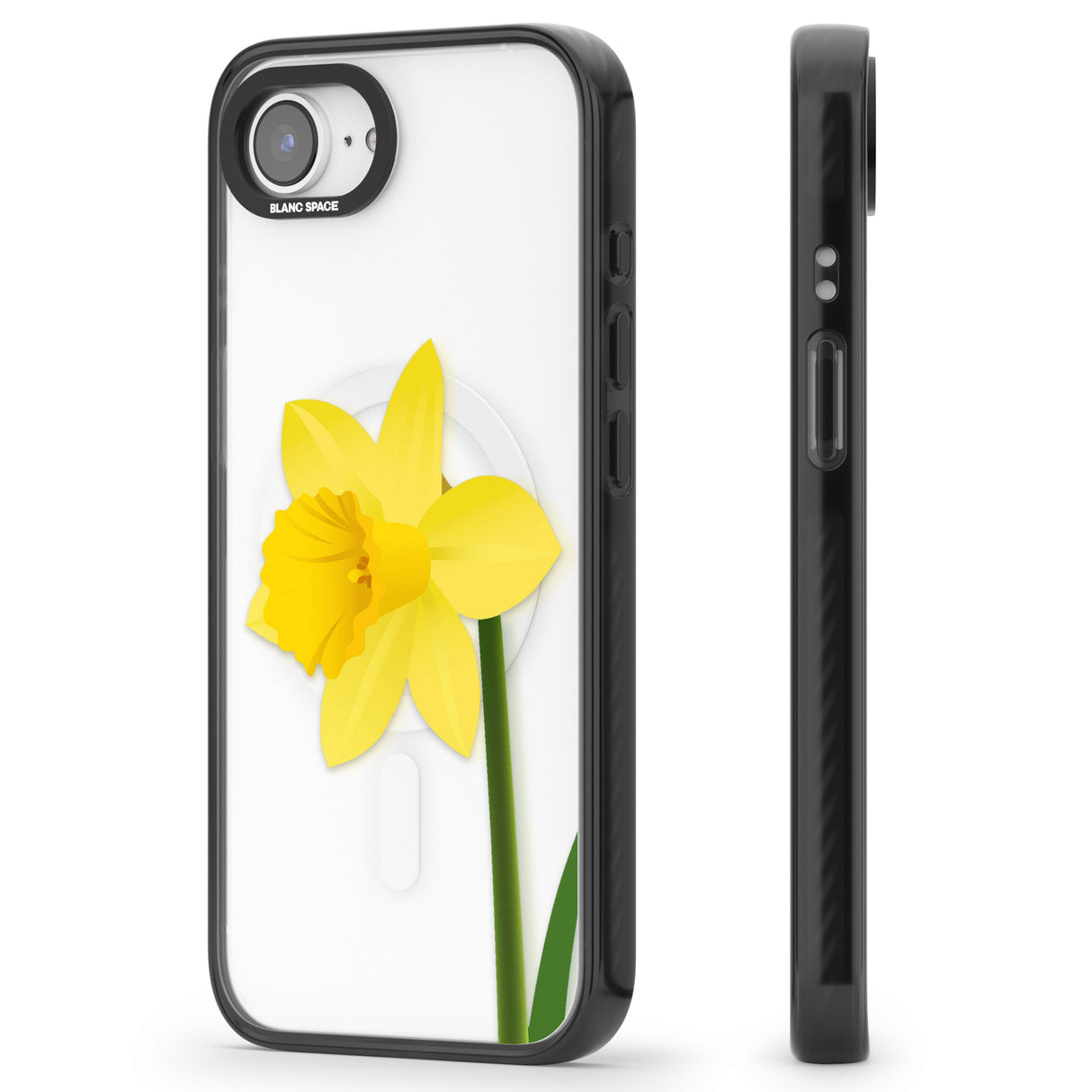 Daffodil