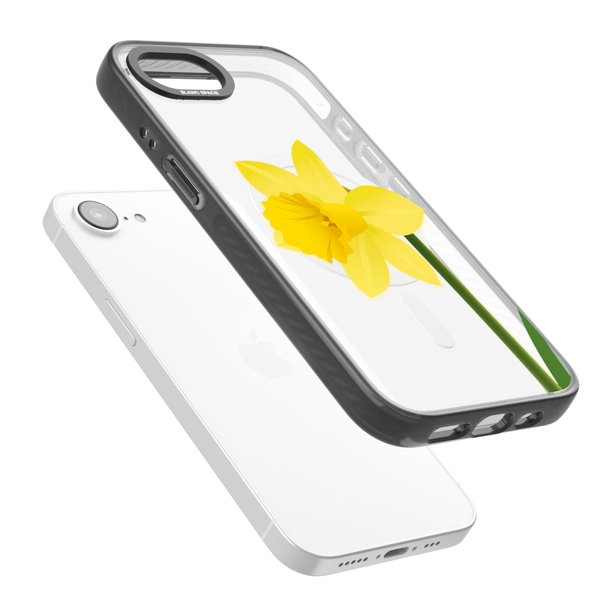 Daffodil