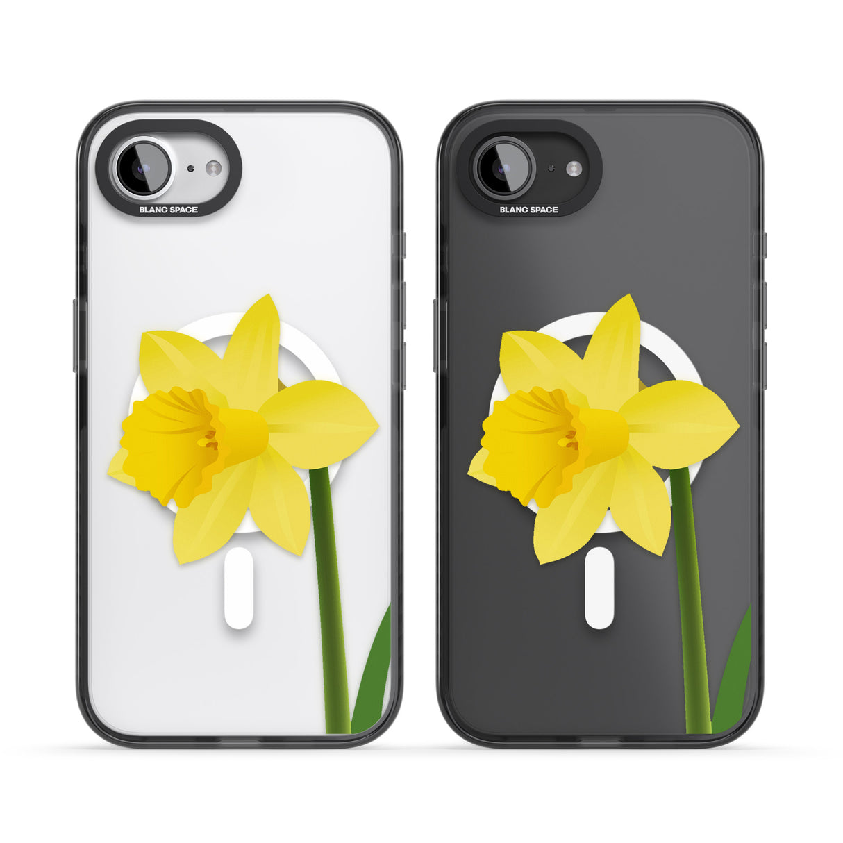 Daffodil