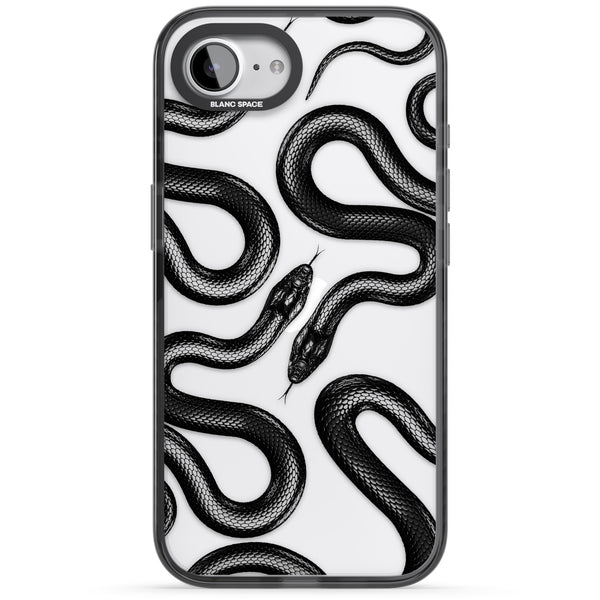 Black Kingsnake