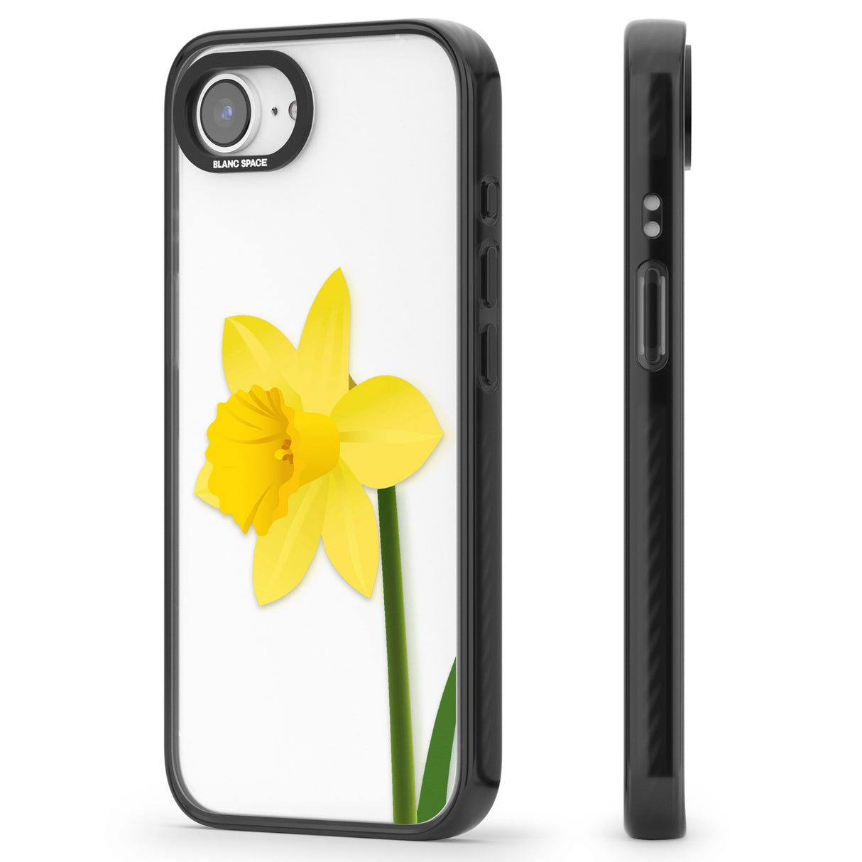Daffodil