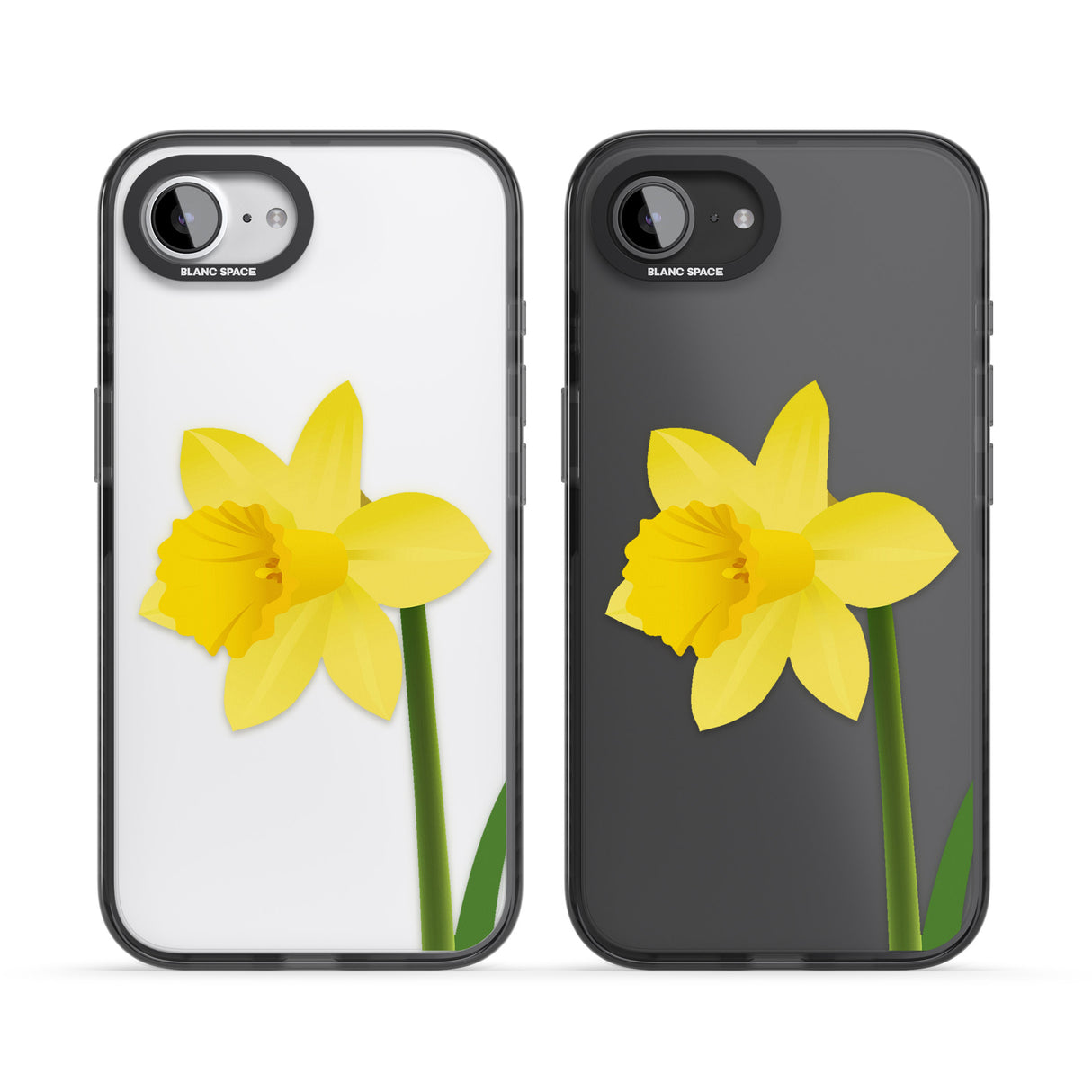 Daffodil