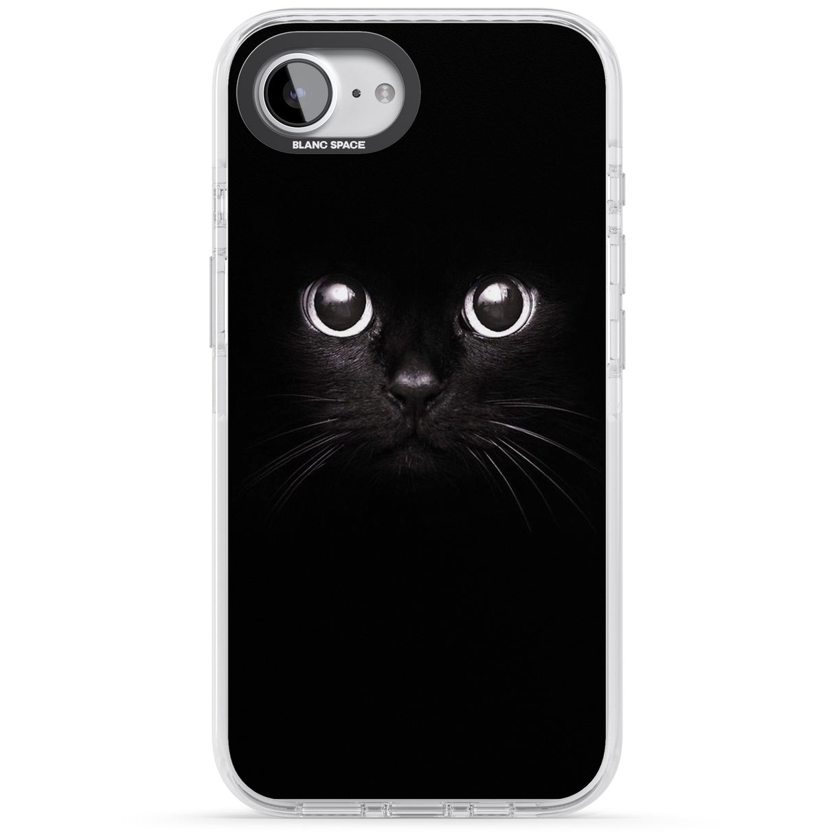 Black Cat