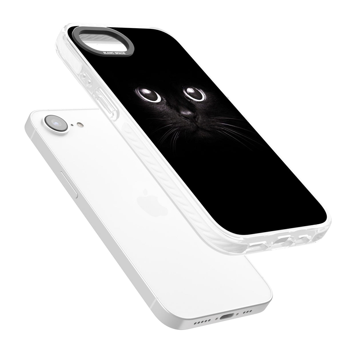 Black Cat