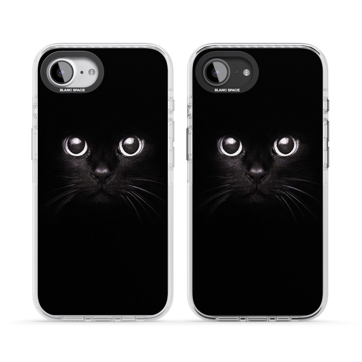 Black Cat