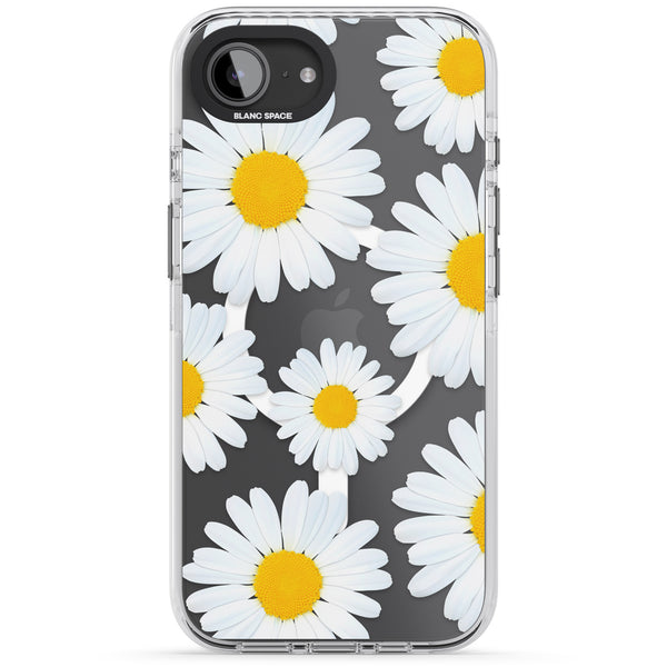 Summer Daisy