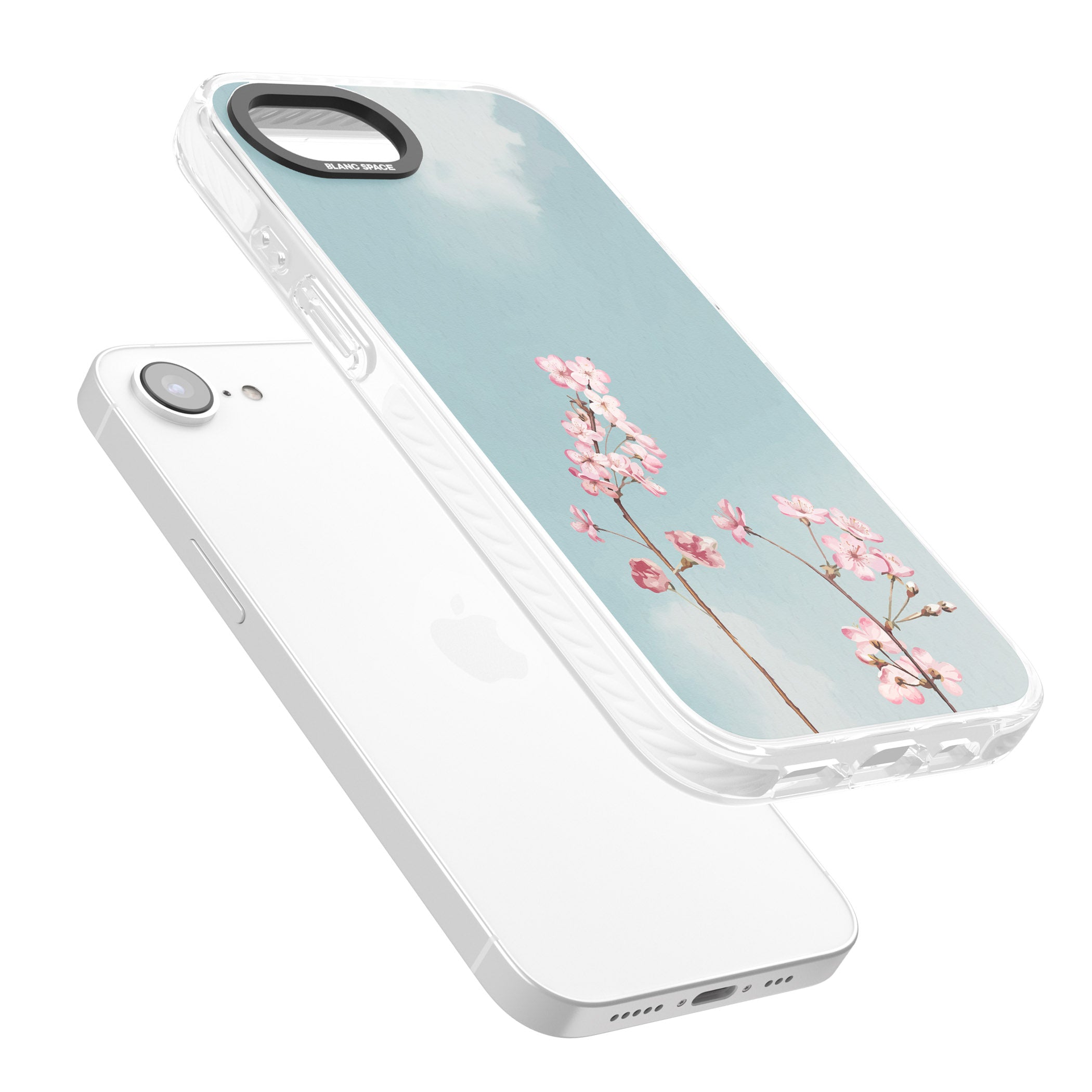 Blossom Flower Sky