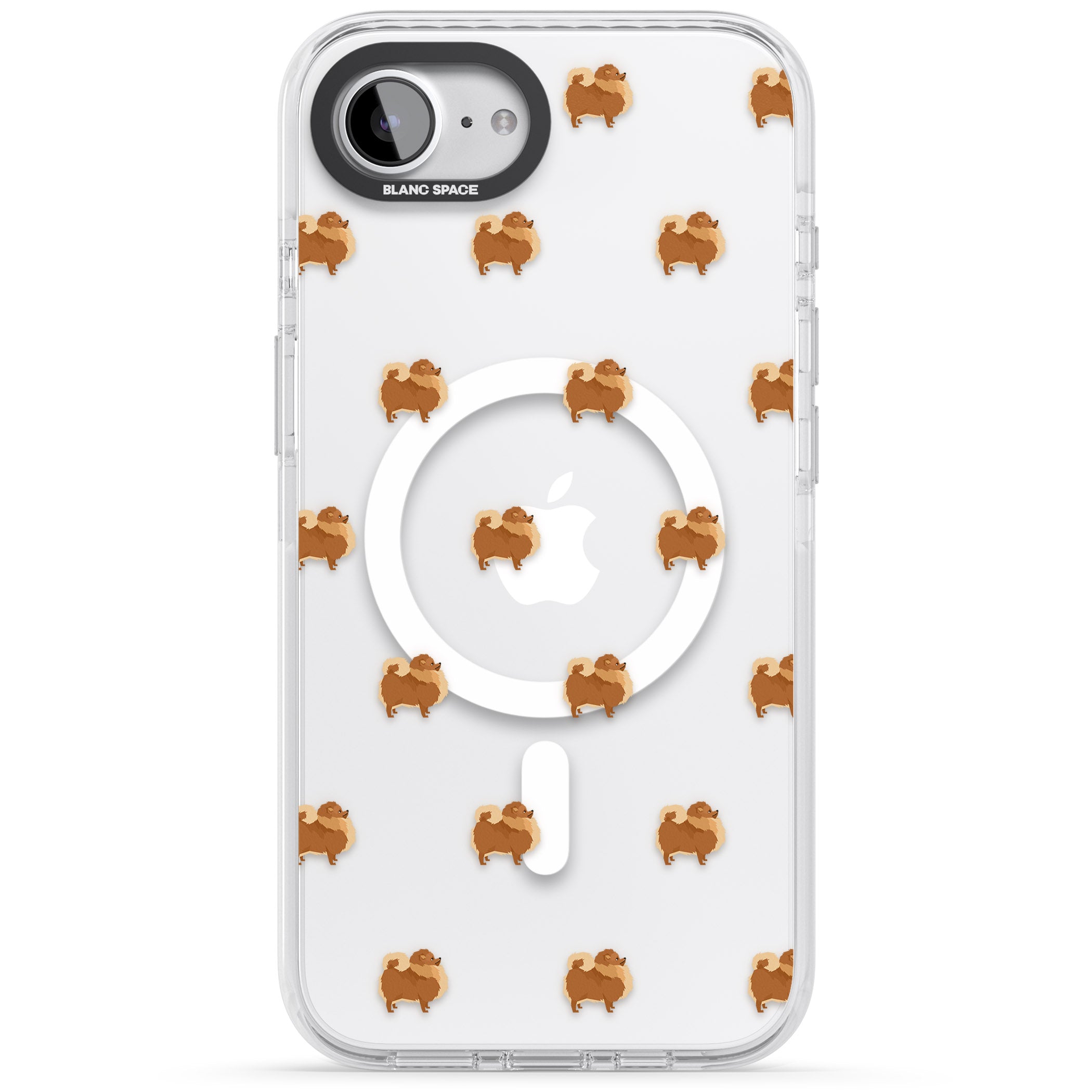 Pomeranian Delight