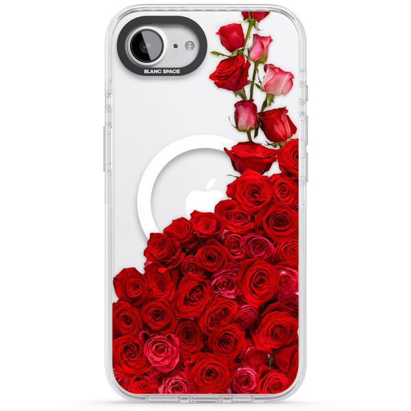Rose Avalanche