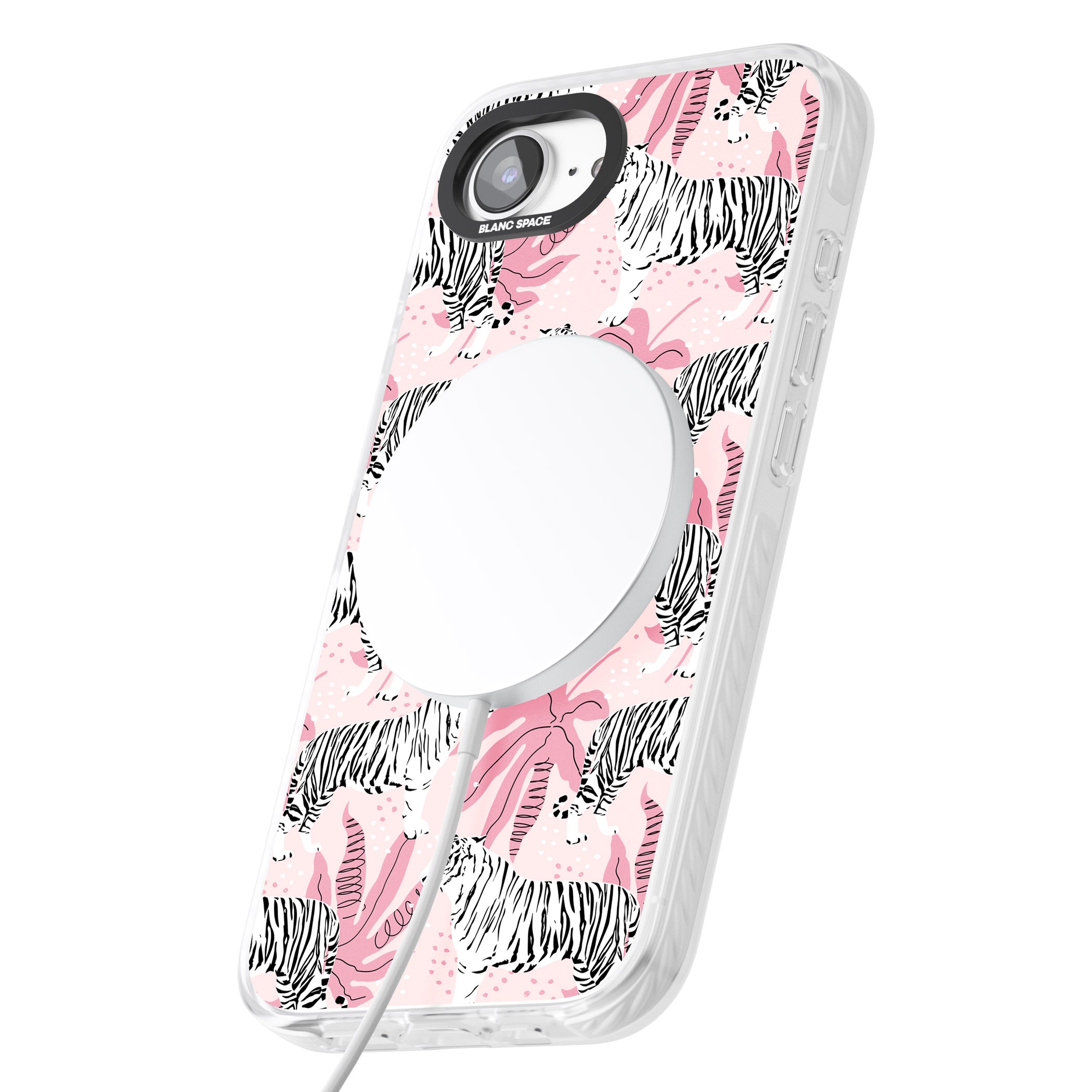 Pink Tiger Palm