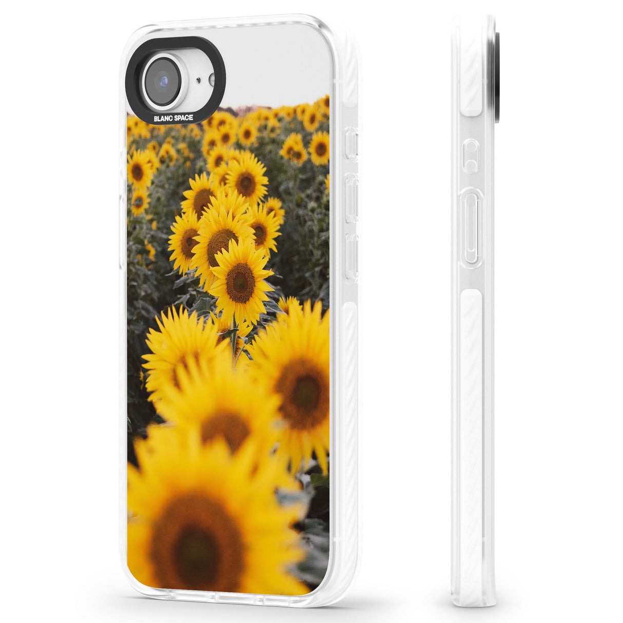 Sunflower Field Photograph