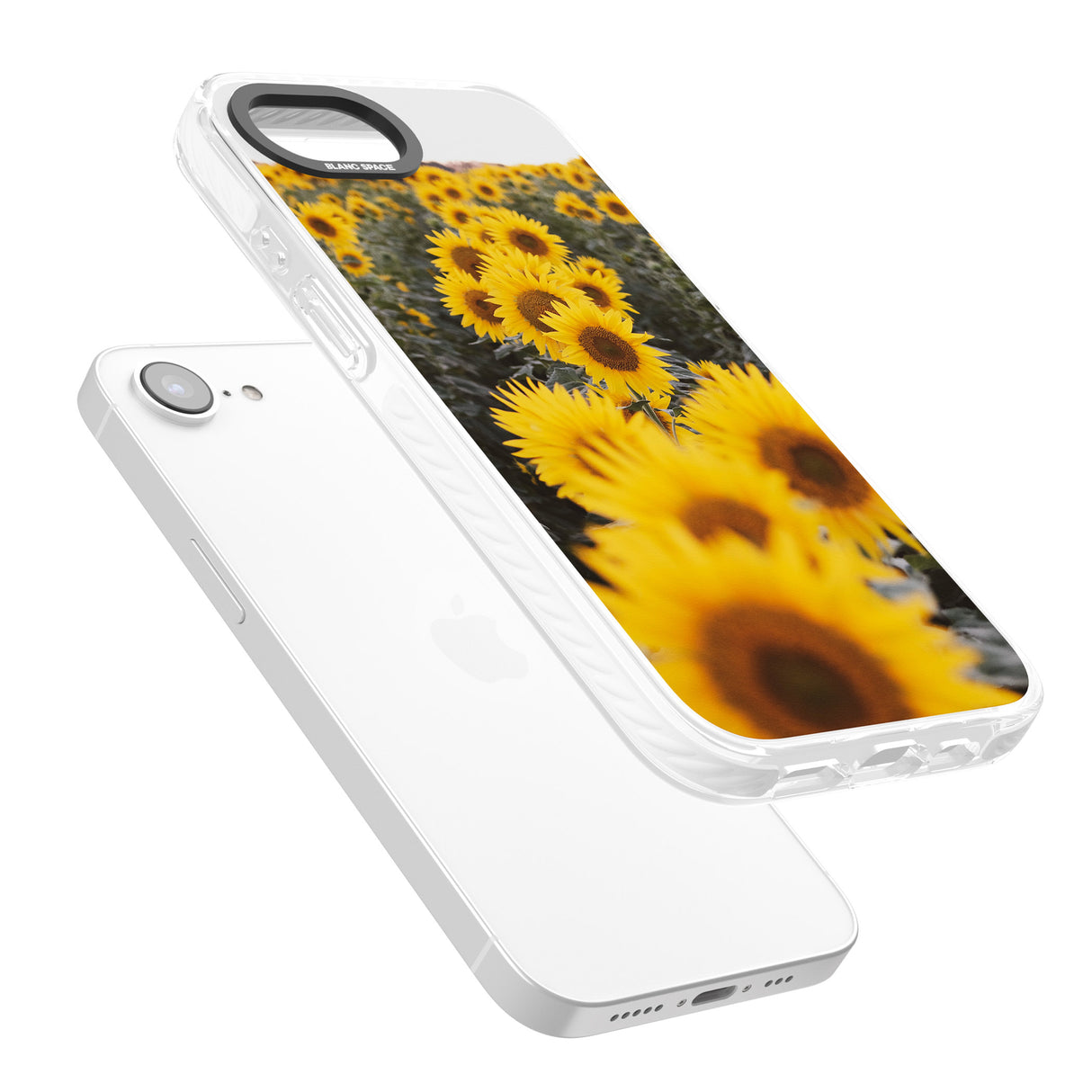 Sunflower Field Photograph