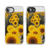 Sunflower Field Photograph