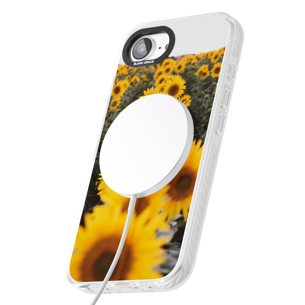 Sunflower Field Photograph