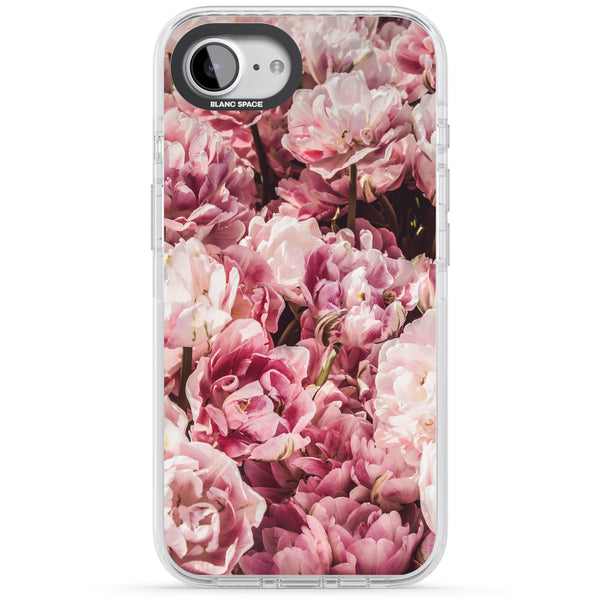 Peony Dream
